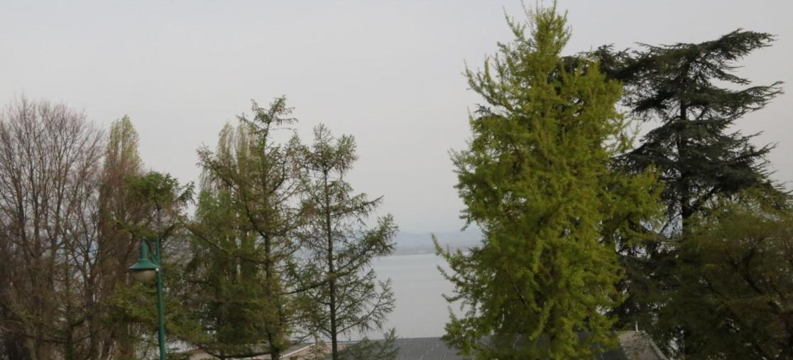 Magnifique T3 Face Au Lac Évian-les-Bains Buitenkant foto
